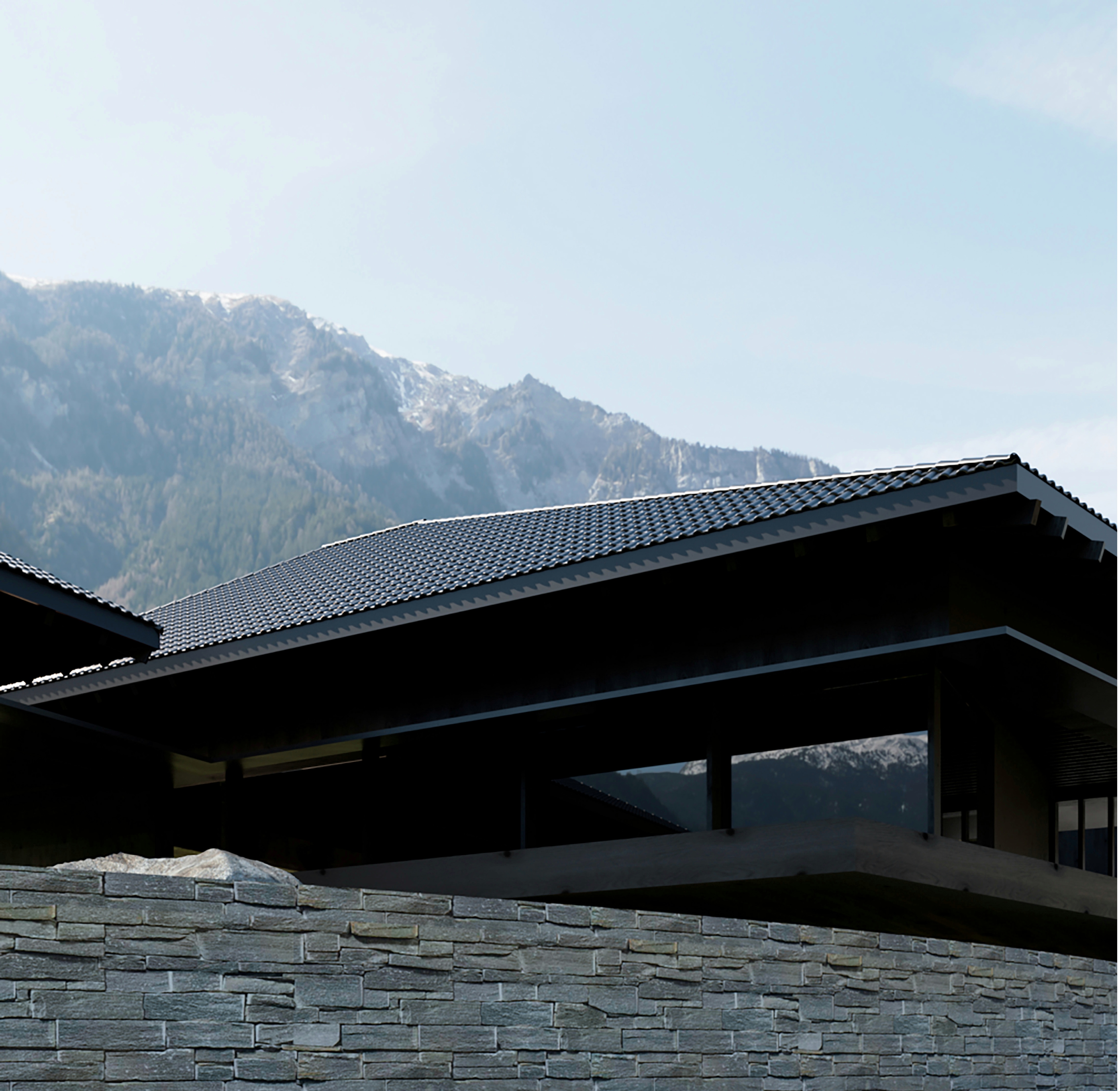Project image 5