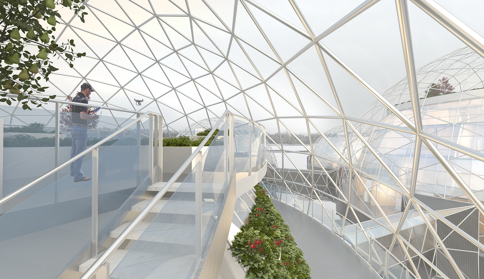 Project image 6